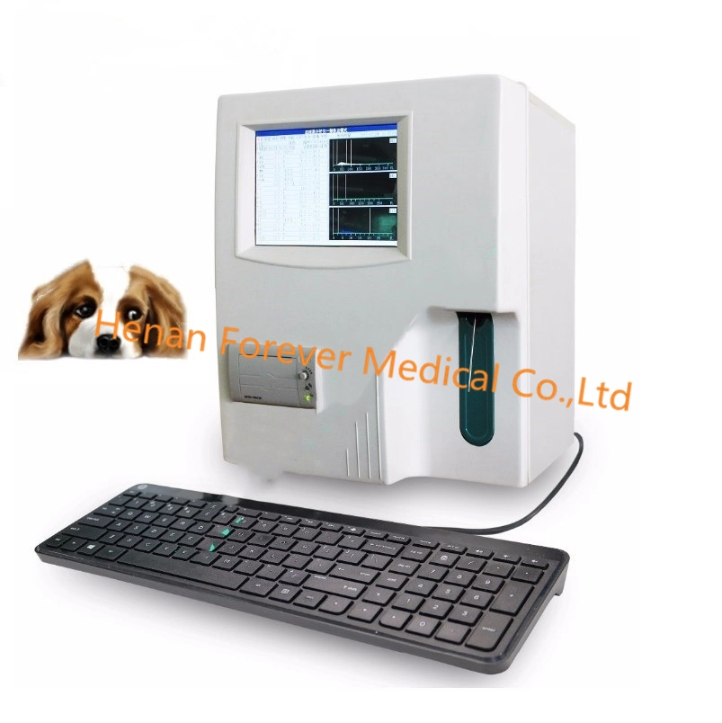 Yj-Electro300 Cheap Electrolyte Analyzer Price Auto Electrolyte